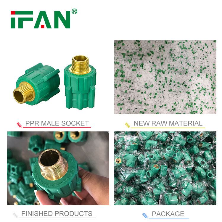 IFANPlus PPR5 IFANPlus PPR5