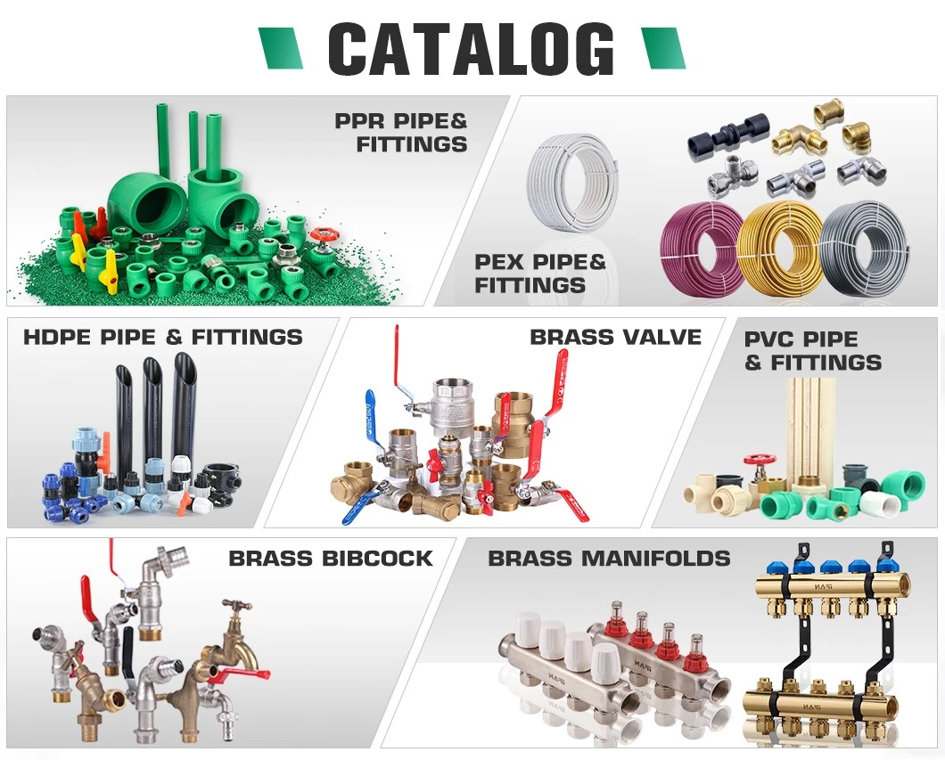 catalog catalog