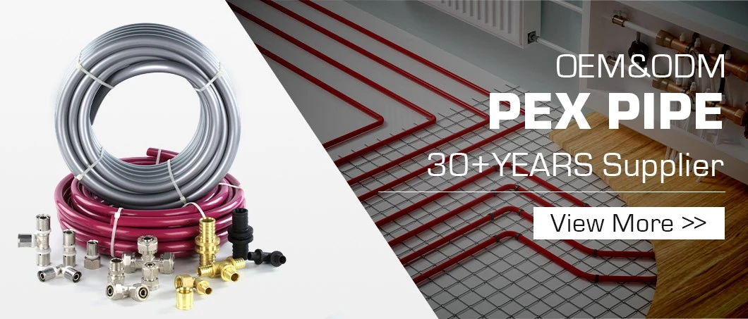 PEX01