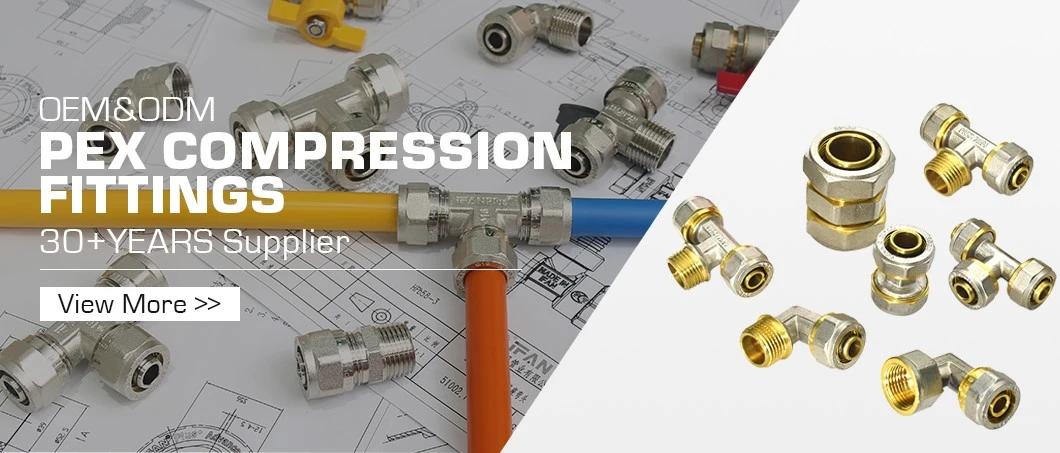PEX01 PEX01